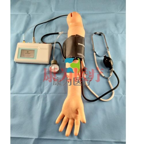 “康为医疗”高级手臂血压测量模型(与心肺复苏模型配套使用）