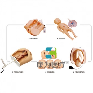 “康为医疗”高级腹部触诊、分娩机转综合模型