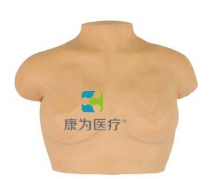 “康为医疗”高级乳房按摩模型,乳房按摩模型