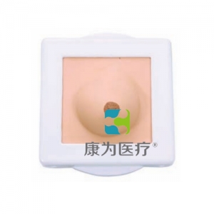 “康为医疗”乳房检查模型,纤维腺瘤和乳腺癌病变模型