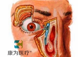 “康为医疗”高级鼻泪管通液训练模型