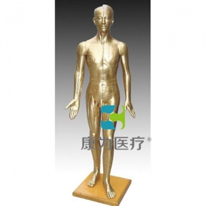 “康为医疗”针灸铜人178CM