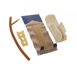 德国3B Scientific®皮肤、肌肉和脊髓