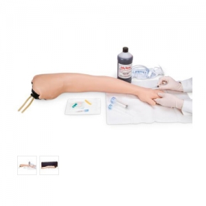 德国3B Scientific®I.V. & I.M注射用手臂Manbo万博体育