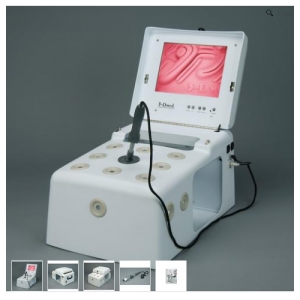 德国3B Scientific®T5 大尺寸Manbo万博体育 240V