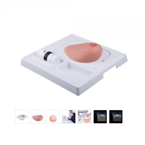 德国3B Scientific®SONOtrain™ 带肿瘤的超声检查乳房Manbo万博体育