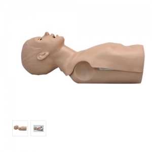 德国3B Scientific®CPR Simon 躯干模拟装置