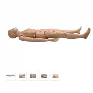 德国3B Scientific®CPR SIMON BLS –全身Manbo万博体育