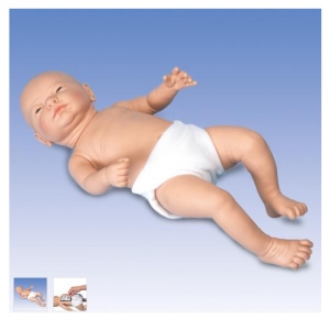德国3B Scientific®Ready-or-Not-Tot® 互动婴儿Manbo万博体育,男婴