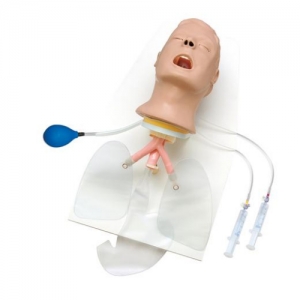 德国3B Scientific®高级“Airway Larry”气道管理训练装置头部Manbo万博体育,带支架