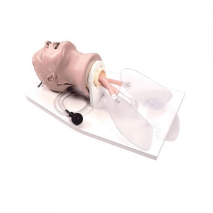 Life/form®“Airway Larry”成人气道管理训练装置,带有支架