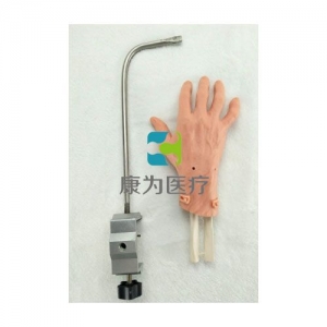 “康为医疗”腕关节镜检查模型,腕关节镜检查操作模型 Wrist Arthroscopy Model