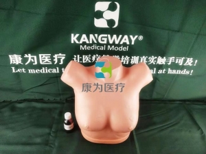 “康为医疗”高级乳腺视诊与触诊模型,乳腺癌视诊与触诊操作模型,乳腺检查模型