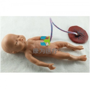 “康为医疗”高级出生婴儿脐带护理模型(男婴)脐带护理标准化模拟病人,脐带护理模拟人
