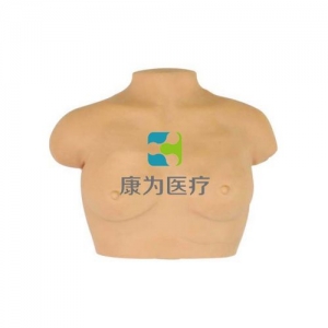 “康为医疗”高级乳房按摩模型,乳房按摩模型