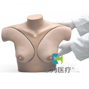 “康为医疗”乳房触诊模型