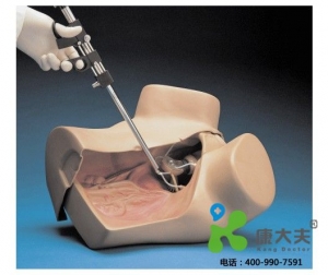 高级妇科检查操作模型