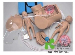 分娩躯干模型