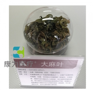 “康为医疗”仿真大麻叶