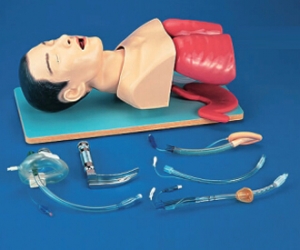 气管插管模型(Airway Management Model)