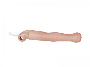 可更换的静脉穿刺手臂（右手臂）
