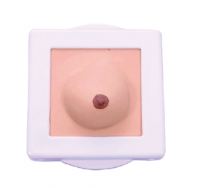 乳腺脓肿切开操作模型
