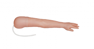 静脉注射手臂模型（左）