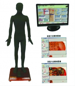 多媒体按摩点穴电子人体模型