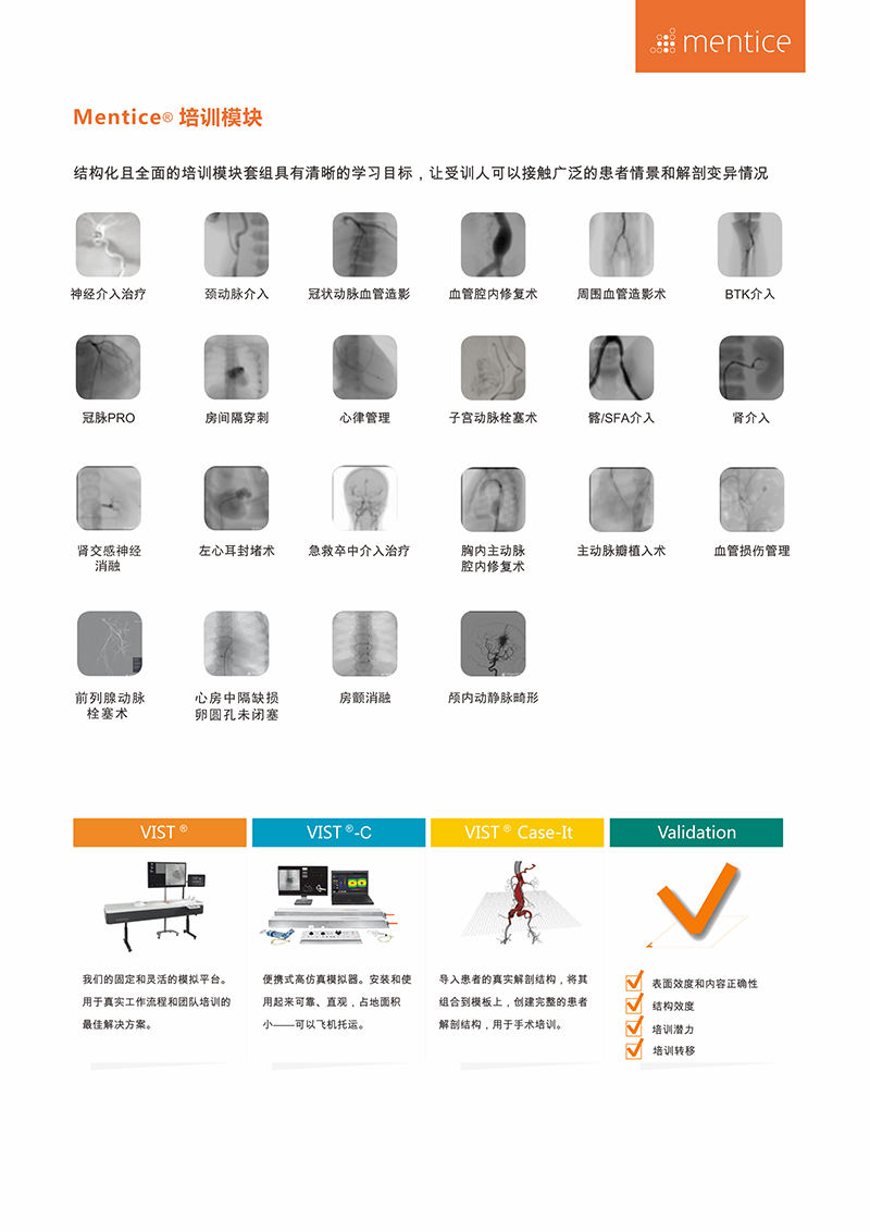 VIST神经血管介入手术模拟器04.jpg