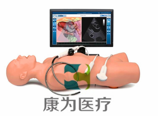 超声诊断虚拟训练系统