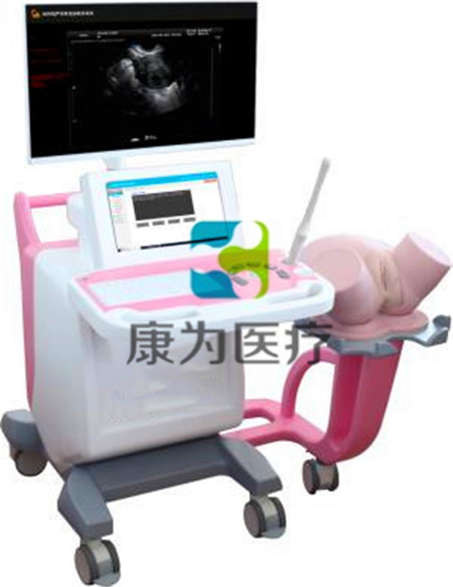 “康为医疗”医学影像专业妇产科超声虚拟训练系统