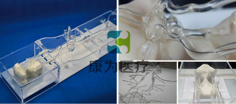 颅脑血管微创手术介入模拟训练模型系统 simulation training model system for minimally invasive cranio-cerebral vascular surgery (型号：MI4655)