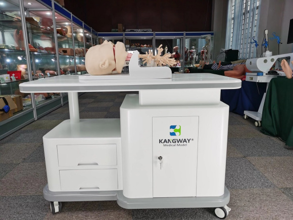 武汉呼吸内镜介入诊疗模拟器厂家