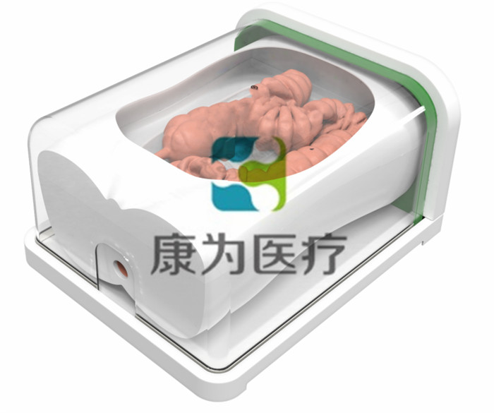 肠镜手术训练模型 肠镜手术训练模型