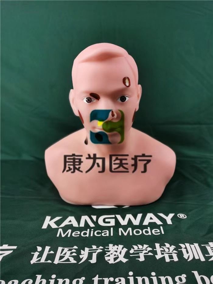 甲状腺穿刺技能训练模型，甲状腺穿刺技能训练模型新品.jpg