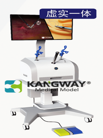 腹腔镜下胆囊切除虚实结合模拟系统 Virtual reality combined simulation system for cholecystectomy MODEL：SynDaver6510系列 品牌：SynDaver 辛达弗机器人