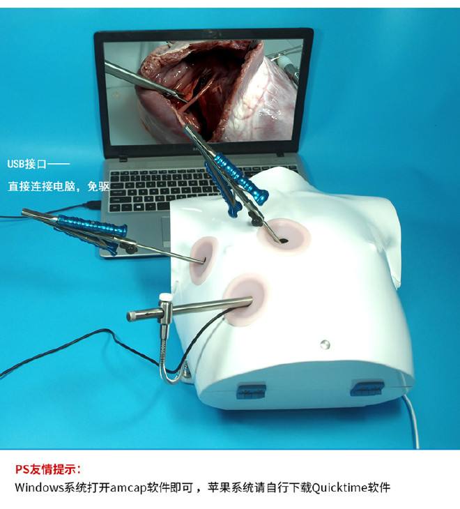 虛擬心臟手術模擬器