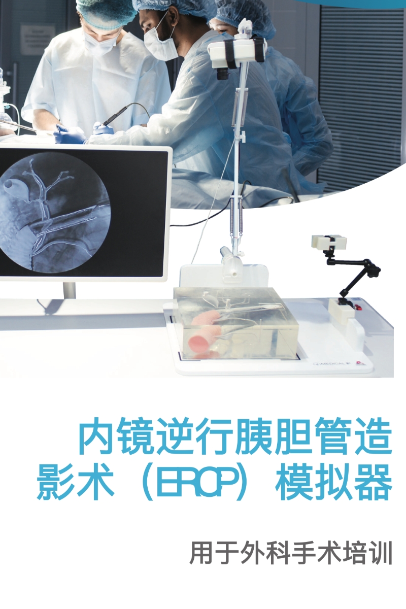 内镜逆⾏胰胆管造 影术（ERCP）模拟器