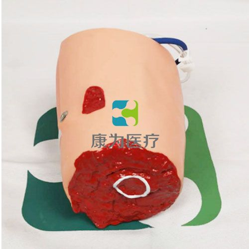 1762480559325777.png 图片1.png